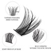 Lash Clusters 144pcs D Curl Individual Lashes DIY Lash Extension, Eyeberly LASH 10/12/14/16mm Mix Length Cluster Lashes Natural Look Eyelash Extensions DIY Wispy Lashes at Home(Princess)