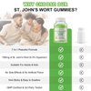 2 Pack St John's Wort Gummies 700mg, Natural Herbal Supplement for Adults & Kids, Support Calm, Relaxation & Brain Health, Vegan, Non-GMO, Gluten Free, Apple Flavor, 120 Count