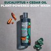 Dove Men+Care Body Wash Eucalyptus + Cedar Oil to Rebuild Skin in the Shower with Plant-Based Cleansers and Moisturizers 18 oz