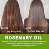 HUALIJIA Rosemary Oil for Hair Growth, 100% Pure Natural Rosemary Essential Oil - Anti Hair Loss Stimulate Hair Growth, Rosemary Hair Oil for All Hair Types, 2.02 Fl Oz