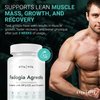 Organic Fadogia Agrestis 600mg for Natural Test Support (2X More Pure - 3X More Absorbent) Athlete Approved - Supports Muscle Growth & Recovery, Healthy Energy Levels, Drive, Stamina & Mood - 60ct