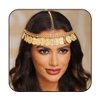 Aukmla Coins Head Chain Gold Sequin Headpiece Hair Chains Festival Costume Headband Hair Accessories for Women and Girls