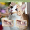 RELONGGI 3 PCS Natural Silvervine Sticks Cat Toy, Catnip Dental Toy for Kitten Teeth Cleaning, Cat Dental Toy,Cat & Kitten Chew Toys for Aggressive Chewer, Easy to Carry Silver Vine Sticks