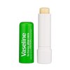 Vaseline Lip Therapy Stick with Petroleum Jelly (Aloe Vera, Pack of 2)