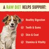 Stella & Chewy's Freeze Dried Raw Dinner Patties – Grain Free Dog Food, Protein Rich Duck Duck Goose Recipe – 5.5 oz Bag