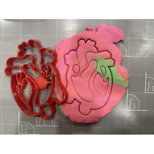 Heart Anatomy Cookie Cutter