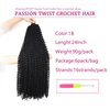 Passion Twist Hair 24 Inch: Water Wave Crochet Hair 6 Packs Passion Twist Crochet Hair for Black Women Water Wave Passion Twist Hair Extensions (1B)