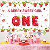 Strawberry First Birthday Party Decorations Berry Sweet Girls 1st One Birthday Backdrop Banner Girls Birthday Party Supplies Strawberry Backdrops Party Props