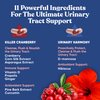 Urinary Tract Supplement Duo, Urinary Harmony + Killer Cranberry, UT Defense blends, D-mannose & Hibiscus + Cranberry, Pine Bark, Propolis & Vitamin D, Clinical Strength Ingredients, 2 X 60 ct