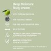 Itinera Deep Moisture Body Cream with Tuscan olive oil (12.51 fl oz) - Dry and Sensitive Skin - Vegan Friendly - 96% Natural Origin Ingredients