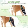 Dog ACL Brace for Front Rear Leg, Adjustable Dog Leg Braces Rear Leg or Front Legs, Pain Relief Hip Dysplasia Support CCL Brace for Pets Cruciate Ligament Injury Recovery, XS