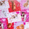 234 Pack Valentine's Day Party Favors Supplies Gift Exchage Cards Heart Glasses Bracelets Heart Stickers Stamper Sticky Hands Tattoo Bulk for Kids School Classroom Rewards Prizes Birthday Goodie Bags