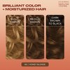 Clairol Textures & Tones Permanent Hair Dye, 6G Honey Blonde Hair Color, Pack of 1