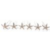 Set of 6 Gold Silver Sea Star Rhinestone Crystal Hair Pins Starfish (Silver)