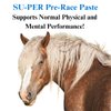 SU-PER Pre-Race Paste for Horses - Performance Support for Exercising Muscle - Buffered Creatine, Amino Acids, Herbal Extracts, Anti-Oxidants, B-Complex Vitamins - 60CC, Case of 4