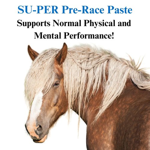 SU-PER Pre-Race Paste for Horses - Performance Support for Exercising Muscle - Buffered Creatine, Amino Acids, Herbal Extracts, Anti-Oxidants, B-Complex Vitamins - 60CC, Case of 4
