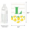 Big Dot of Happiness So Fresh - Lemon - Citrus Lemonade Party Bunting Banner - Party Decorations - Lemonade Stand