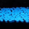Glow in The Dark Rocks Outdoor Decorative Stones (1000 PCS White Glows Blue) Small Luminous Pebbles for Garden Walkway Fish Tank Aquarium Planter Vase Filler