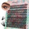 SIILUUGO DIY Lash Extensions 200PCS Individual Lashes Clusters,9-16mm MIX 30D Fluffy and Natural False Eyelashes,Wispy and Volume,Waterproof and Lasting Pestañas,Easy to Apply for Beginners at Home