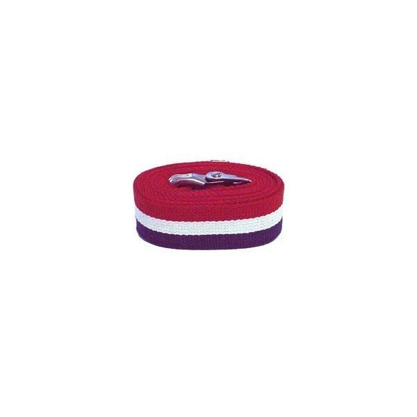 Kinsman Enterprises 80307 Gait Belt with Metal Buckle, 2" Width, 60" Length, Patriot