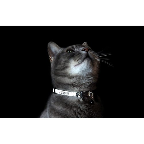 Rogz Glow in the Dark Reflective Cat Collar with Breakaway Clip and Removable Bell, fully adjustable to fit most breeds, Blue Floral Cat Design