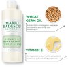 Mario Badescu Vitamin E Body Lotion, 6 Fl Oz (Pack of 1)