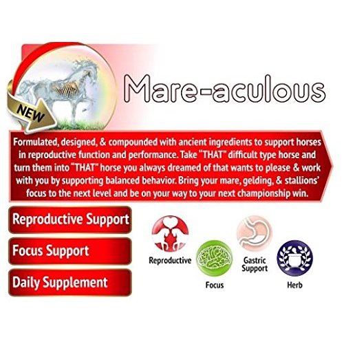 Animal Element Mare-Aculous 1.5 Lb. Organic, Non-GMO Calming, Focus, & Reproductive Support Supplement.