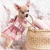Potchen 4 Pcs Plaid Dog Dress Bow Tie Harness Leash Set Harness Dress for Small Dogs Cute Dog Pet Girl Puppy Summer Clothes for Female Summer Bunny Rabbit Clothes Yorkie Chihuahua Training Walking (S)