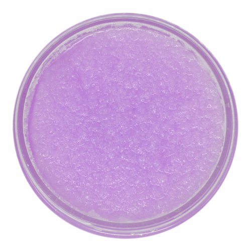 The Soap Exchange Sugar Body Scrub - Lavender Sage Scent - Hand Crafted 16 fl oz / 480 ml Natural Artisan Skin Care, Shea Butter, Exfoliate, Moisturize, & Protect. Made in the USA.