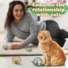 Andiker Cat Toy Ball,6pcs Cat Interactive Toy for Cats,Caged Mouse and Ball for Cats to Chase and Grab (Ball Toy)