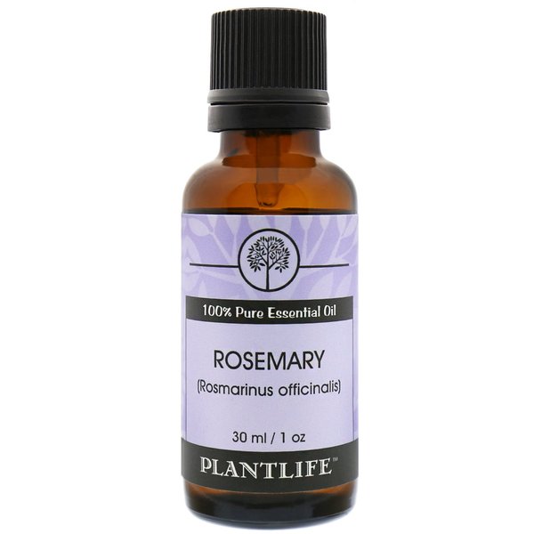 Plantlife Rosemary Aromatherapy Essential Oil - Straight from The Plant 100% Pure Therapeutic Grade - No Additives or Fillers - 30 ml