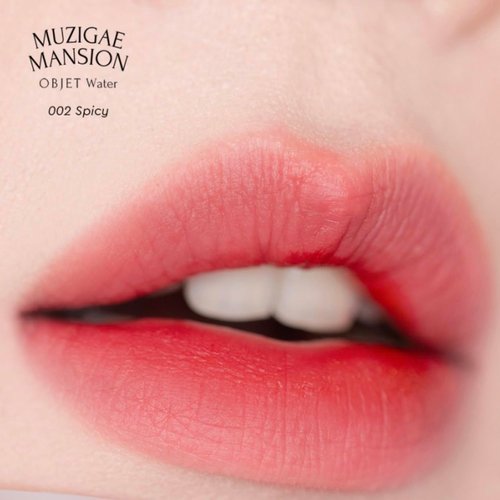 MUZIGAE MANSION Objet Water Makeup Soft Matte Vegan Lip Tint (SPICY)