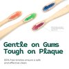 Bamboozle Eco-Friendly Toothbrush for Adults - Sustainable Bamboo Design, Biodegradable & Stylish Oral Care Solution (Blue, Pack of 3)