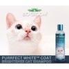 Bio-Groom Purrfect White Cat Shampoo – Color Enhancing Pet Shampoo, Cat Bathing Supplies, Kitten Wash, Cat Grooming Supplies, Cruelty-Free, Made in USA, Coat Brightener Shampoo – 8 fl oz 1-Pack