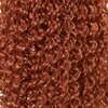 YXCHERISHAIR Curly Wigs for Black Women Ginger Afro Bomb Curly Wig with Bangs Long Curly Wavy Wig Synthetic Fiber Glueless Long Kinky Curly Hair (350, 24inch)