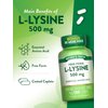 Nature's Truth L-Lysine 500mg | 130 Caplets | Free Form | Essential Amino Acid | Non-GMO & Gluten Free Supplement