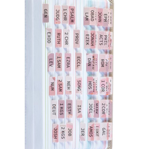 DiverseBee Laminated Bible Tabs (Large Print, Easy to Apply), Bible Tabs Old and New Testament, Bible Study Journaling Supplies, Bible Accessories, Bible Index Tabs, 72 Bible Book Tabs (Velvet)