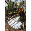 Traditional Tibetan Prayer Flags Small - Set of 5, Fair Trade
