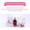 ORJENA Power Collagen Intensive Facial Serum_Collagen serum for skin Tightening_Anti Aging_Anti Wrinkle_Kbeauty skincare_1.7 fl.oz