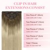 GOO GOO Clip in Hair Extensions Real Human Hair, 16inch 120g 7Pcs, 9/60 Balayage Ash Brown to Platinum Blonde, Remy Human Hair Extensions Clip ins for Women, Natural Human Hair