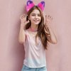 Pistha Furry Pink Purple Cat Ear Headband and Love Heart Leather Chocker for Halloween Animal Costumes Accessories