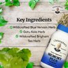 Dr. Christopher's Memory Plus Herbal Blend - Brain Supplements for Memory and Focus - Memory Supplement for Brain - Supports Cognitive Function, Energy, Alertness, and Concentration