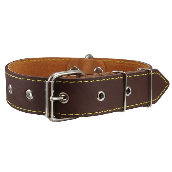 Real Thick Leather Dog Collar 16"-22" Neck Size, 1.5" Wide, Bullterrier, Pitbull