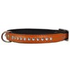 Dogs My Love Rhinestone Genuine Leather Dog Collar (Orange, 8"-9.5" Neck)
