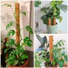 2 Pcs 12 Inches Coir Moss Poles for Climbing Plants with 4 Pcs Adjustable Plant Twist Ties - Coir Moss Totem Stick for Creepers Plant Support Extension, Climbing Indoor Plants(Total 20 Inch)