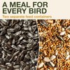 SWISSINNO Bird Feeder Davos Smart Birds. Feed Birds, not Mice & Rodents! Robust & Reliable for Hanging. Dual Food Chambers. Made in EU. Green