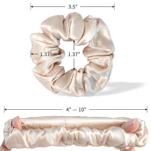 DAISYSILK 100% Mulberry Silk Hair Tie Silk Hair Scrunchies Hair Decoration Without Hair Damage Prevents Frizz 1pack, Champagne