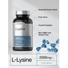 Horbäach L-Lysine | 2000mg | 240 Caplets | Vegetarian, Non-GMO, and Gluten Free Supplement