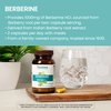 Himalaya Berberine 500 mg Capsule, 1 Month Supply, 2 Capsules Daily, Berberine HCL from Indian Barberry Root, Vegan, Gluten Free, Herbal Supplement, 60 Capsules