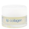 Somaluxe Collagen Dream Duo: Stem Cell Face Moisturizer & Lip Collagen for Youthful, Full and Softer Skin (Set)